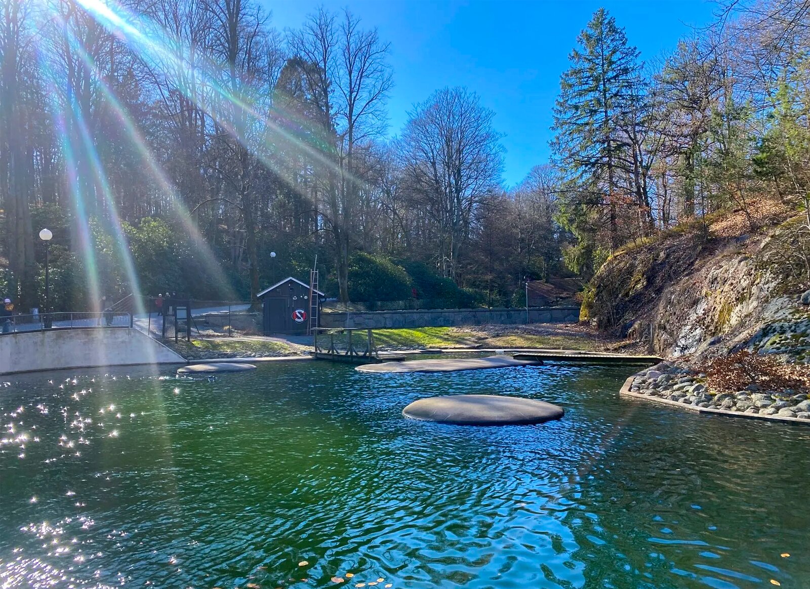 Slottsskogen Park