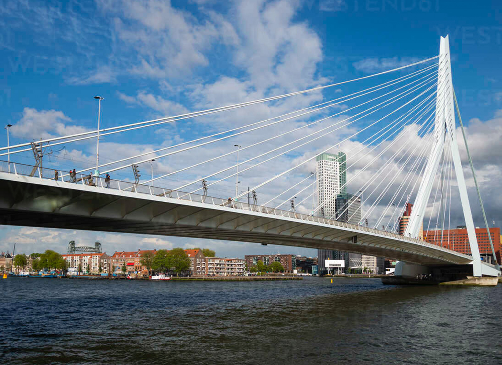 Erasmusbrug