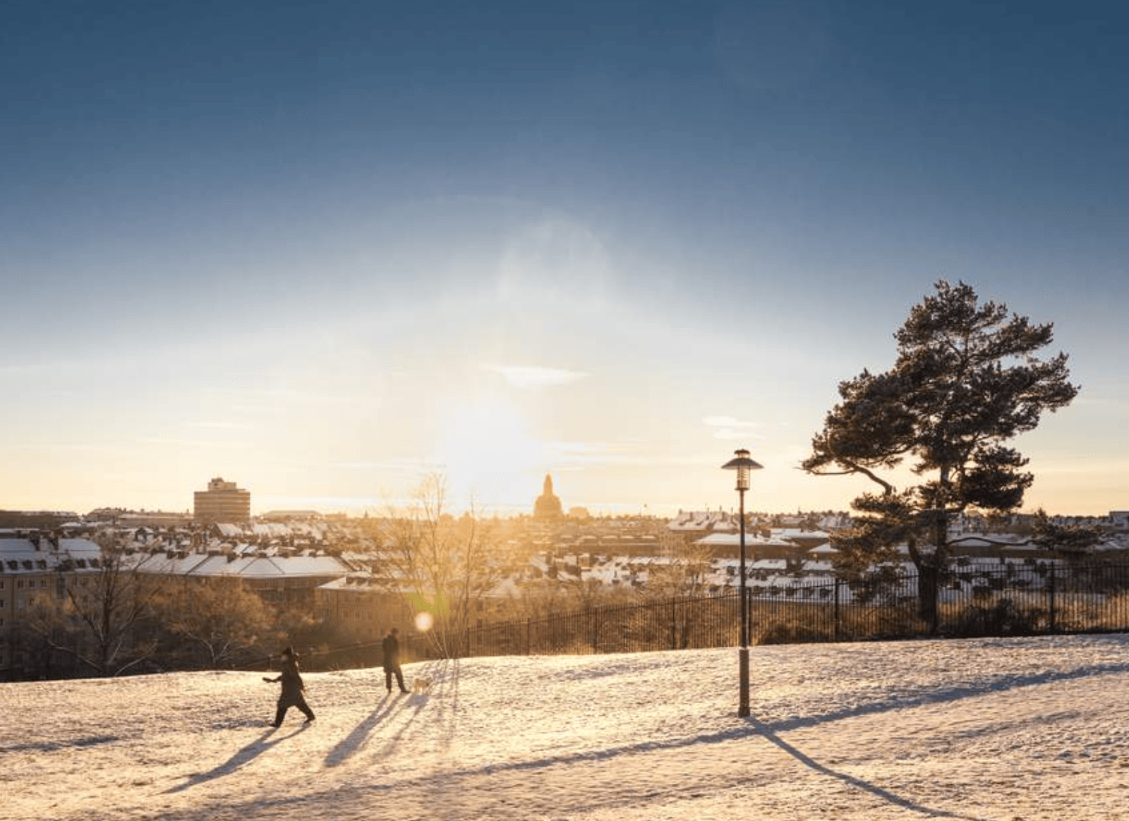 Vanadislunden