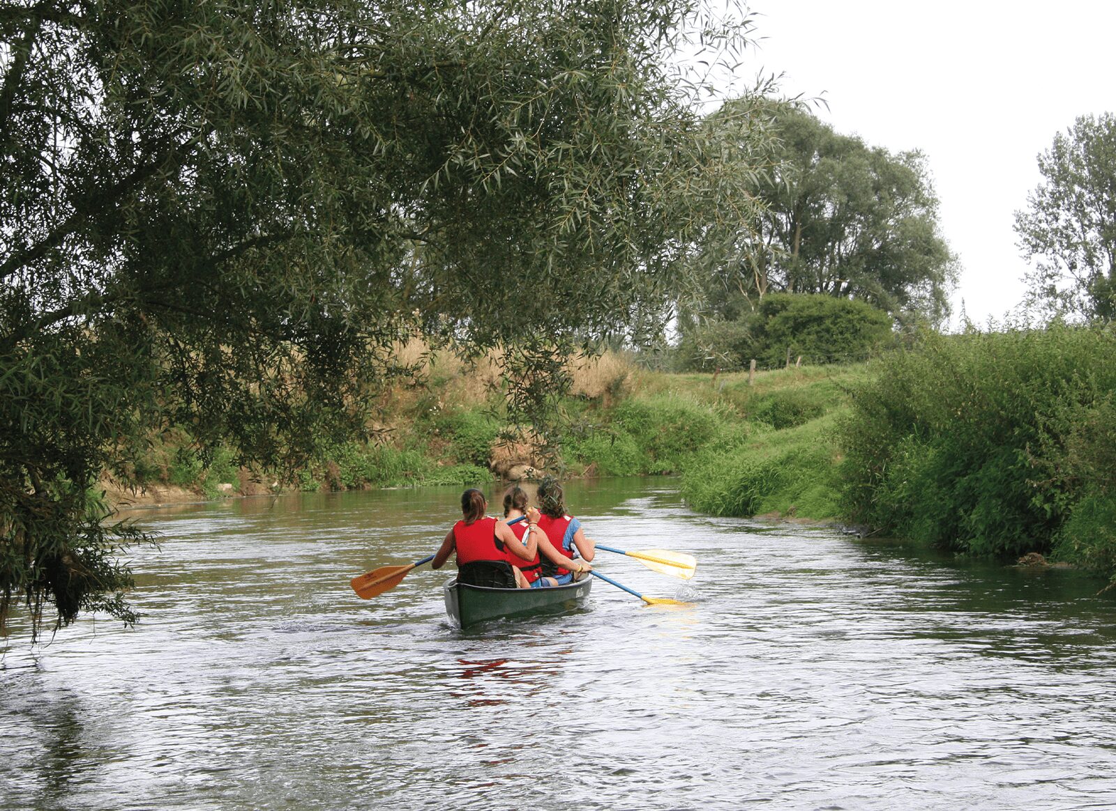 Dijle River Walks