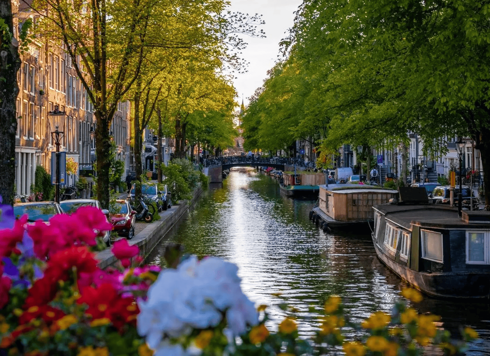 De Jordaan — Historic Charm of Amsterdam